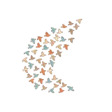 철새