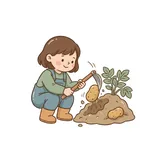 캐다