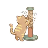 할퀴다