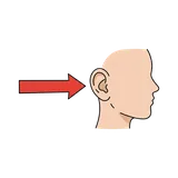귀