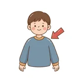 어깨