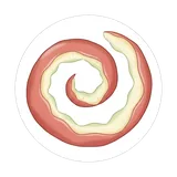 껍질