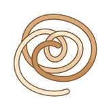 끈