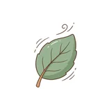 나뭇잎