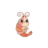 새우
