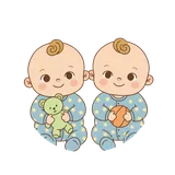 쌍둥이