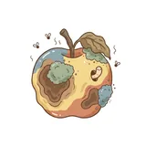 썩다