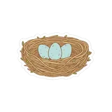 둥지