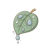 물기