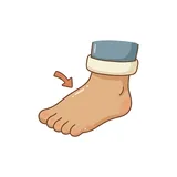 발등