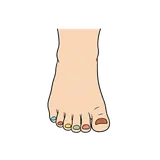 발톱