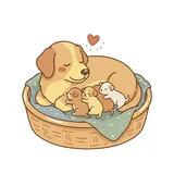 새끼