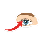 속눈썹