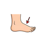 오른발