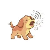 짖다