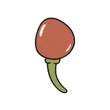가시
