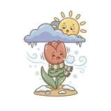 꽃샘추위