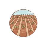 밭
