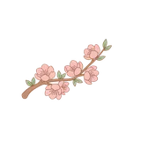벚꽃