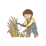 베다