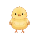 병아리