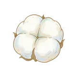 솜