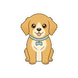 애완견