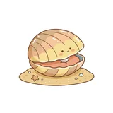 조개