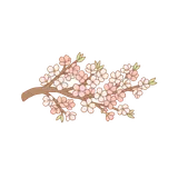 봄