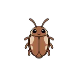 바퀴벌레