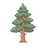 솔