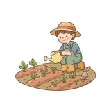 재배